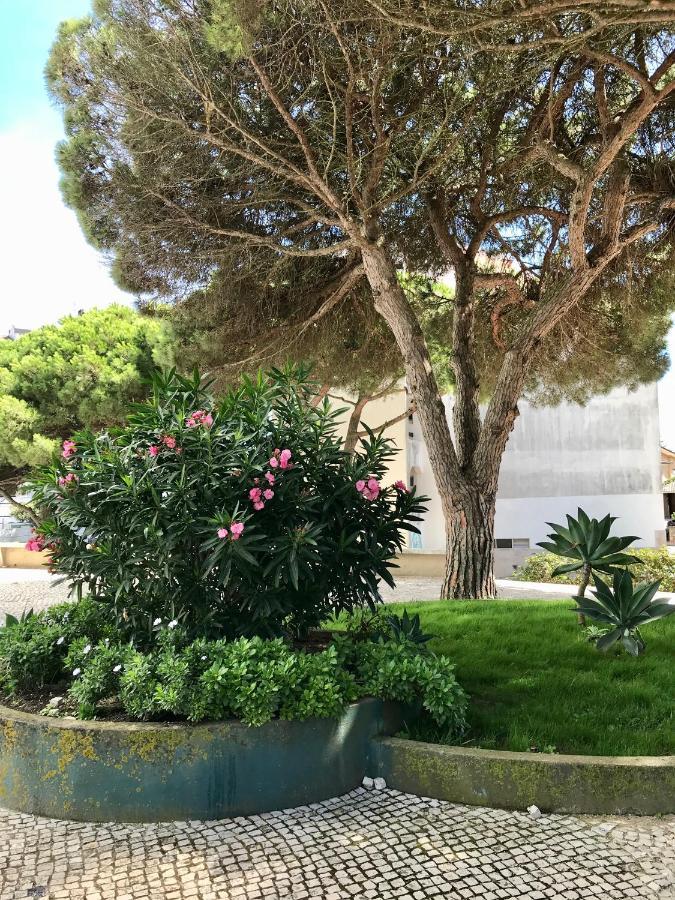 Pine Apartment - A 3M Da Ciclovia Guincho 카스카이스 외부 사진